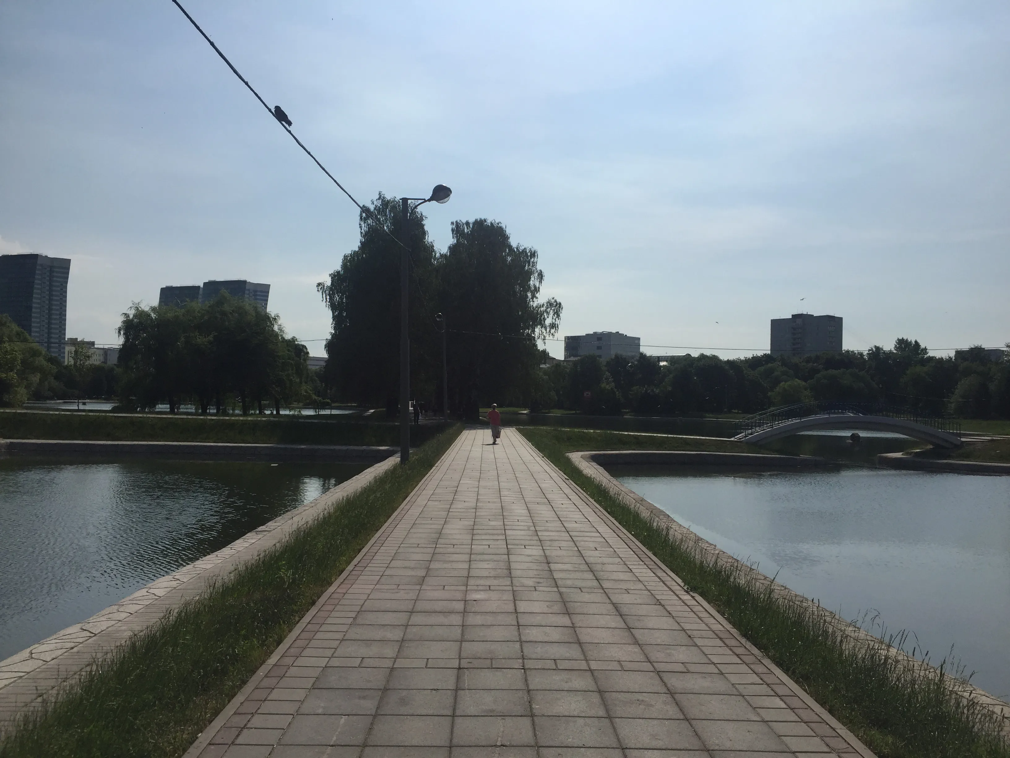 Зеленый парк у пруда, фото 16