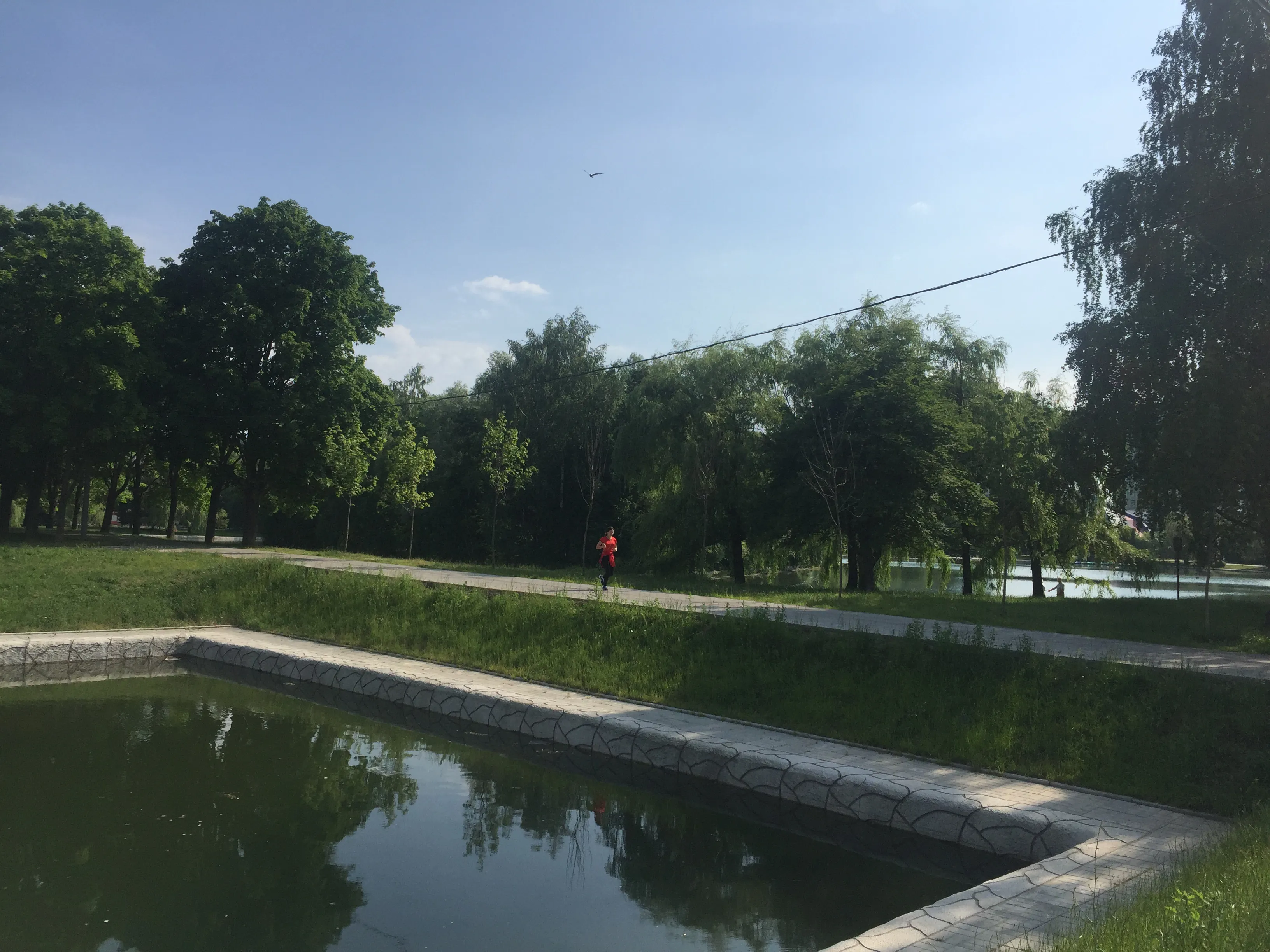 Зеленый парк у пруда, фото 10