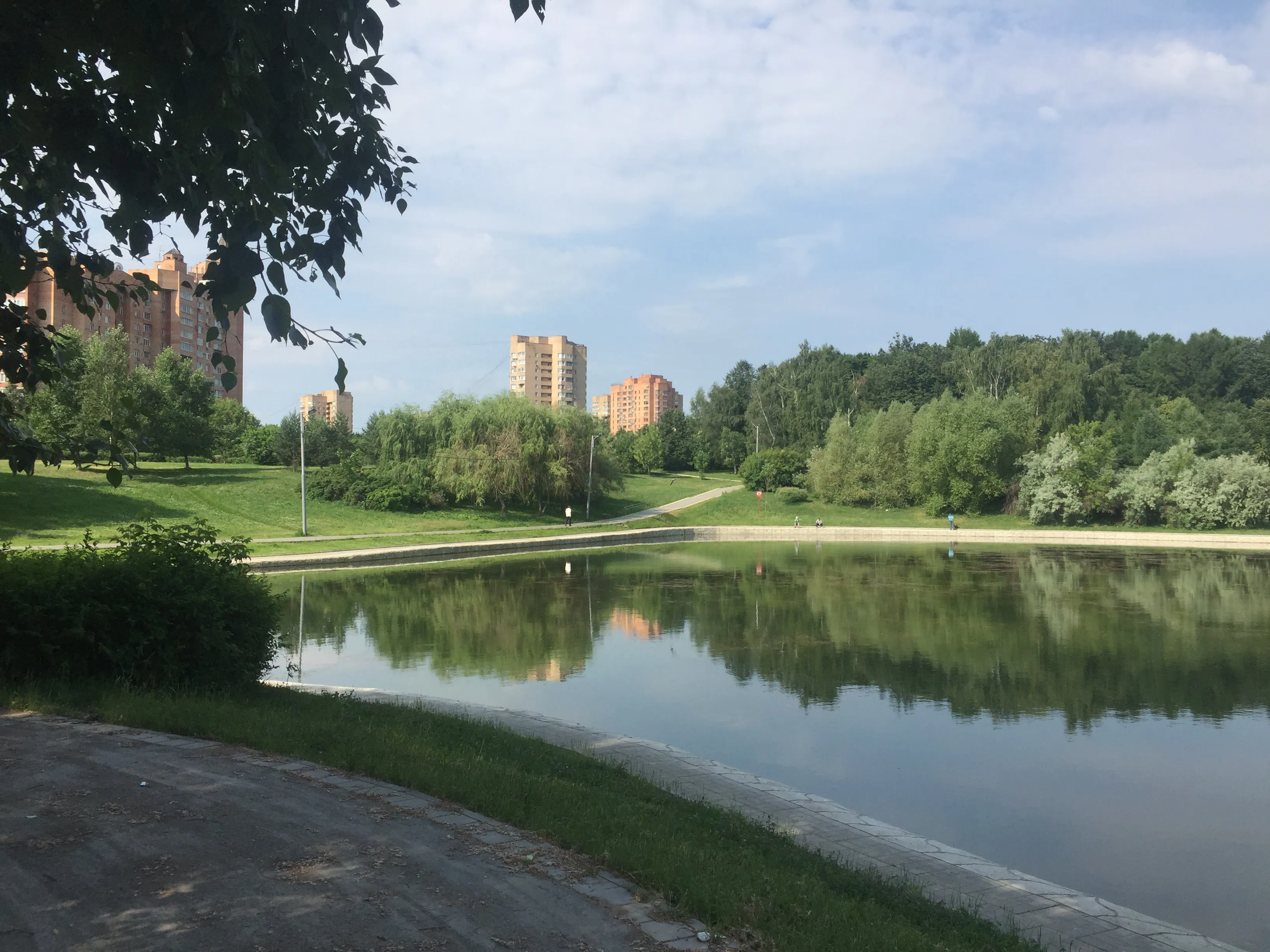 Зеленый парк у пруда, фото 19
