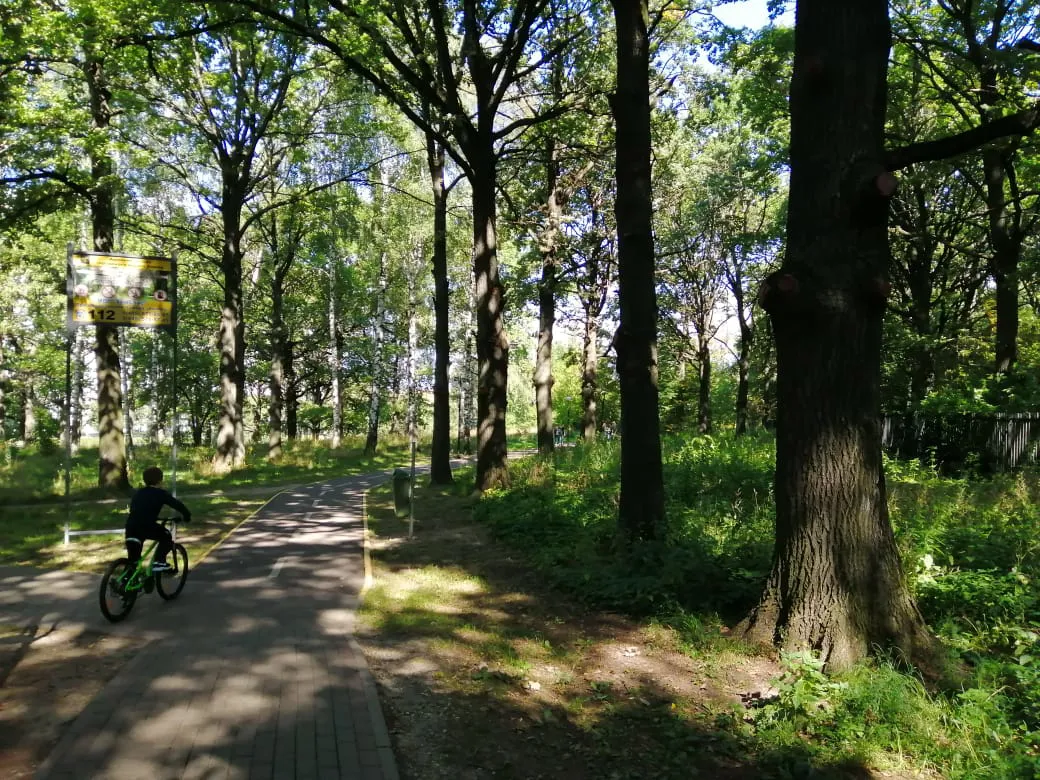 Парк с велодорожкой, фото 1