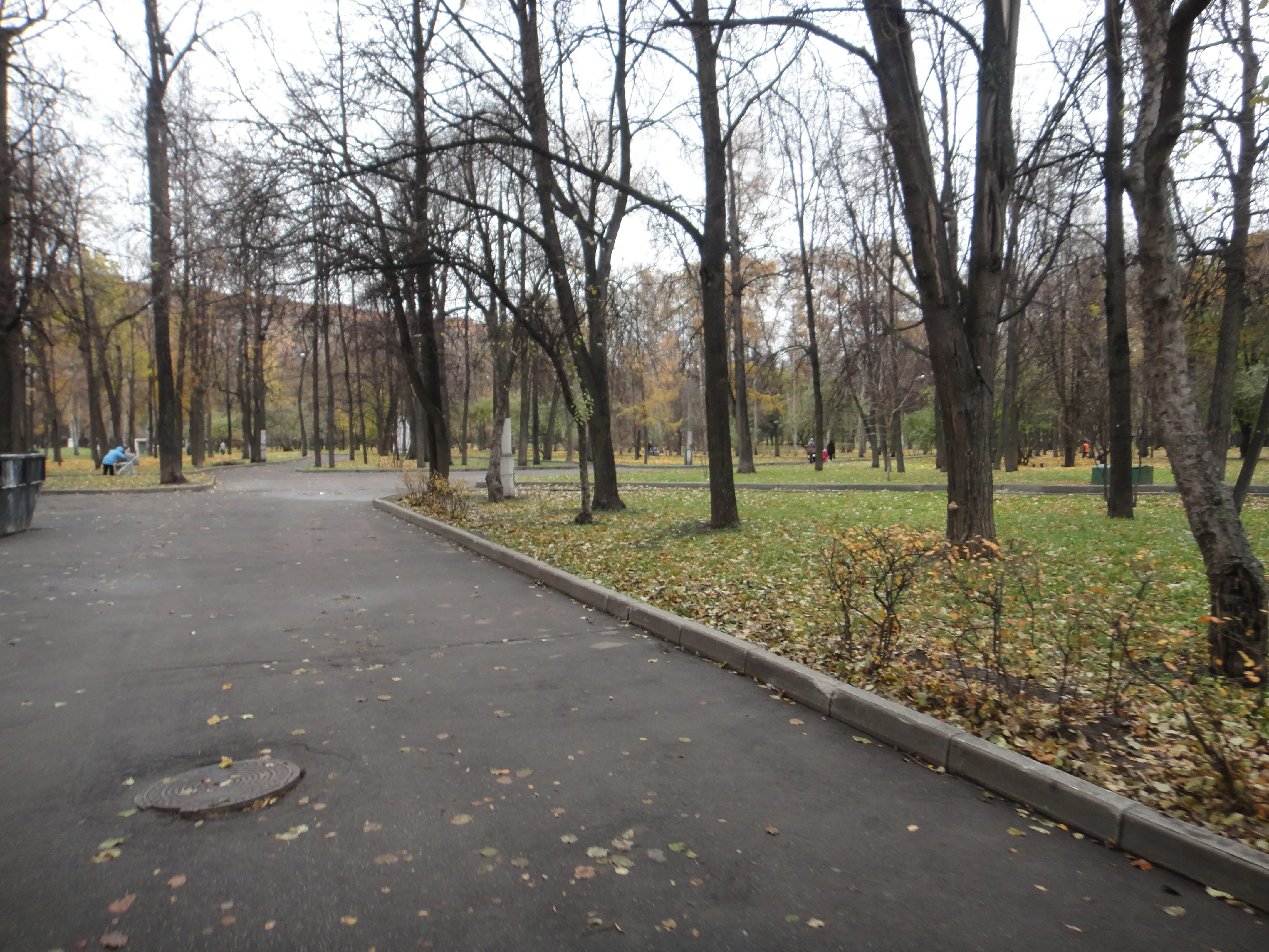 Городской парк осени, фото 1