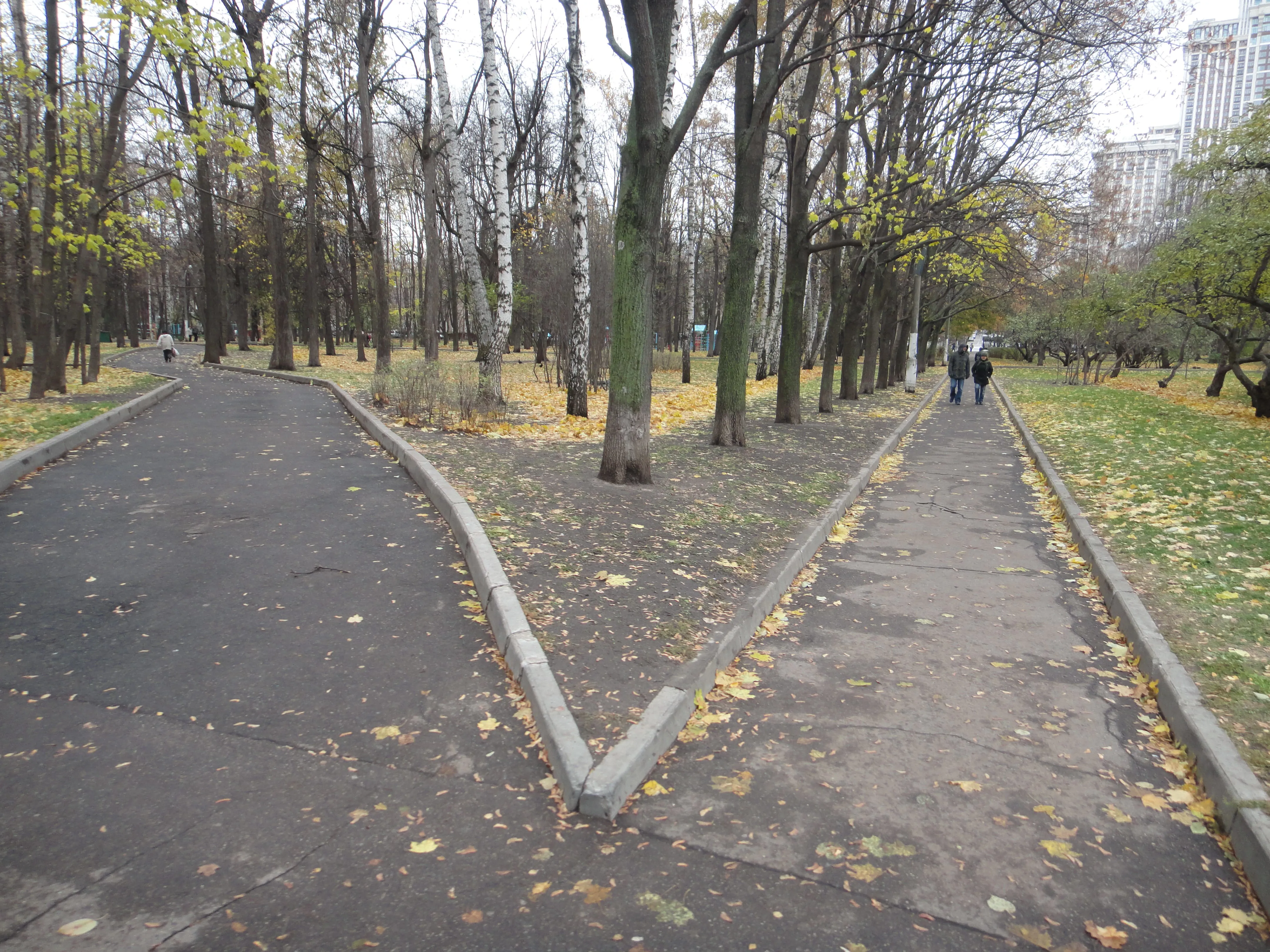 Городской парк осени, фото 11
