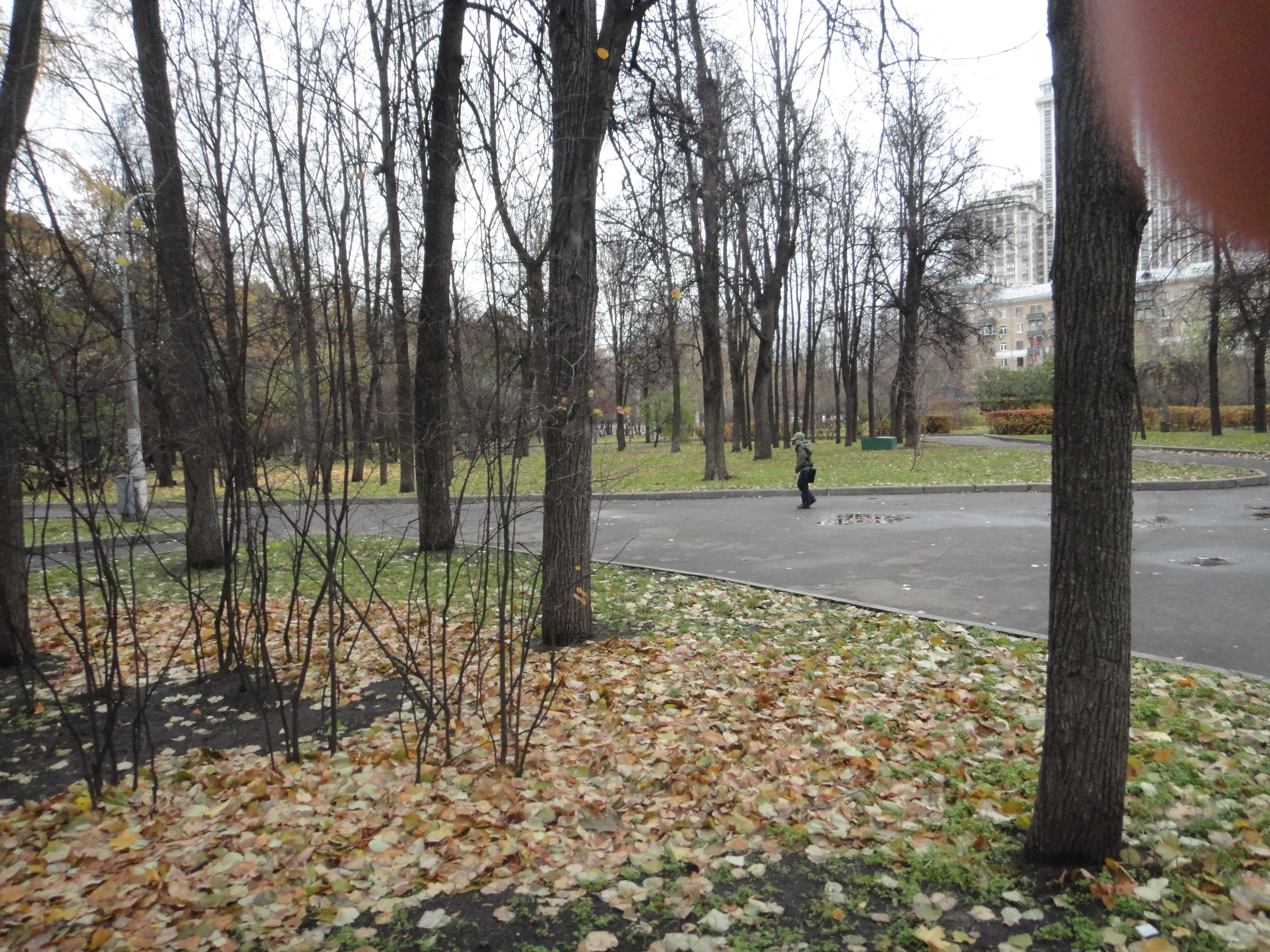 Городской парк осени, фото 8