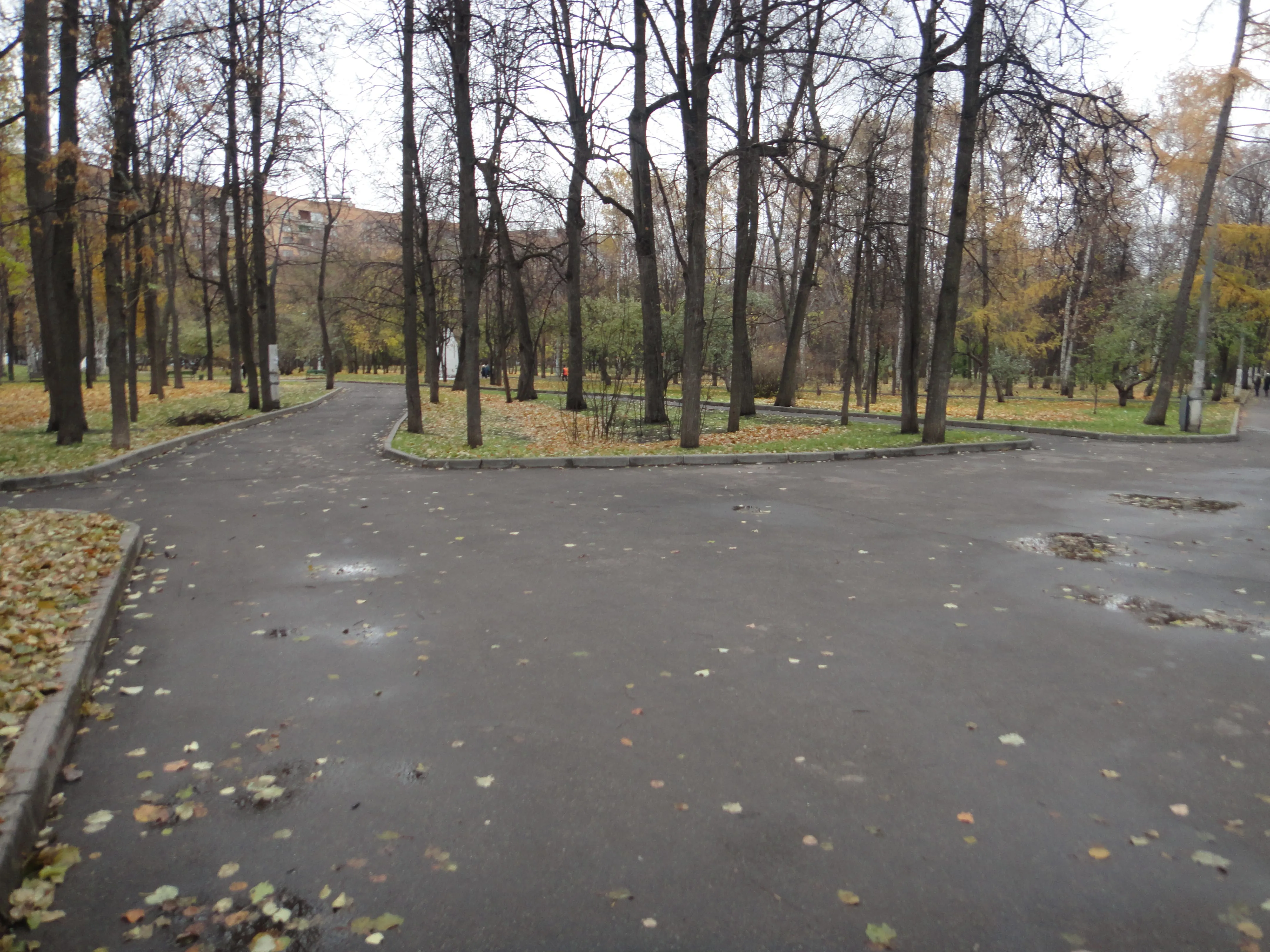 Городской парк осени, фото 4