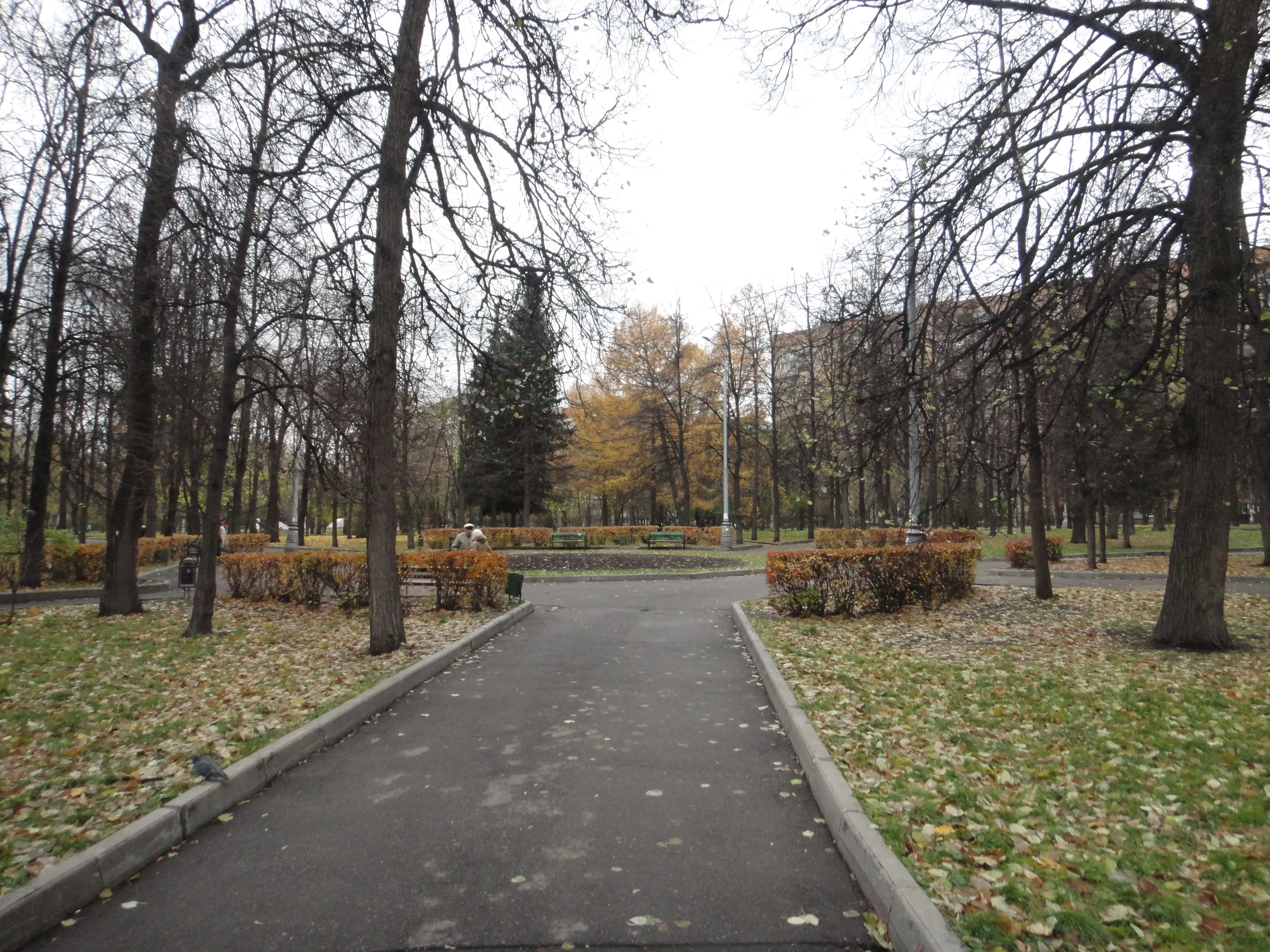 Городской парк осени, фото 15
