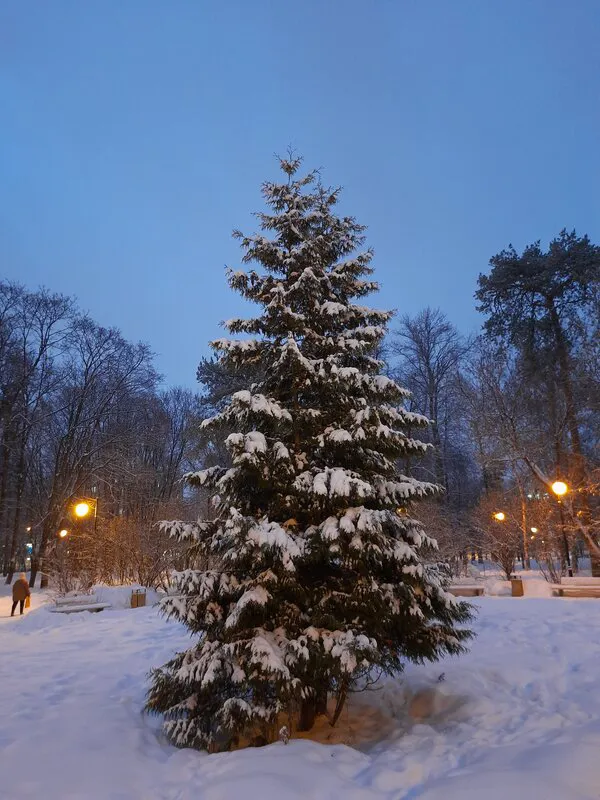 Парк с высоткой, фото 19