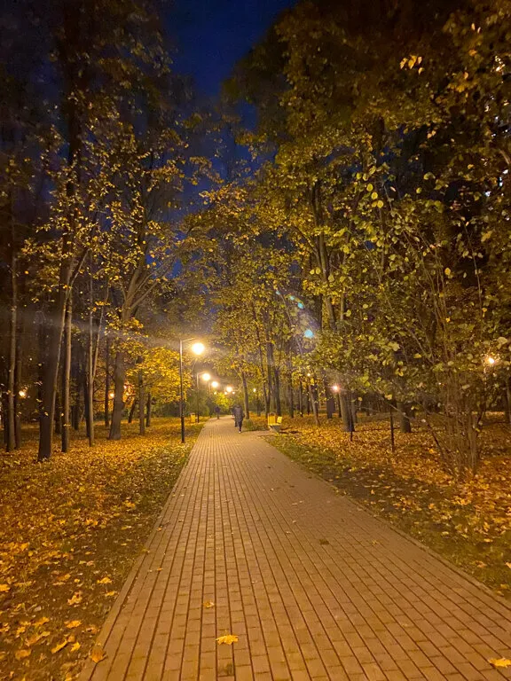 Парк с высоткой, фото 17