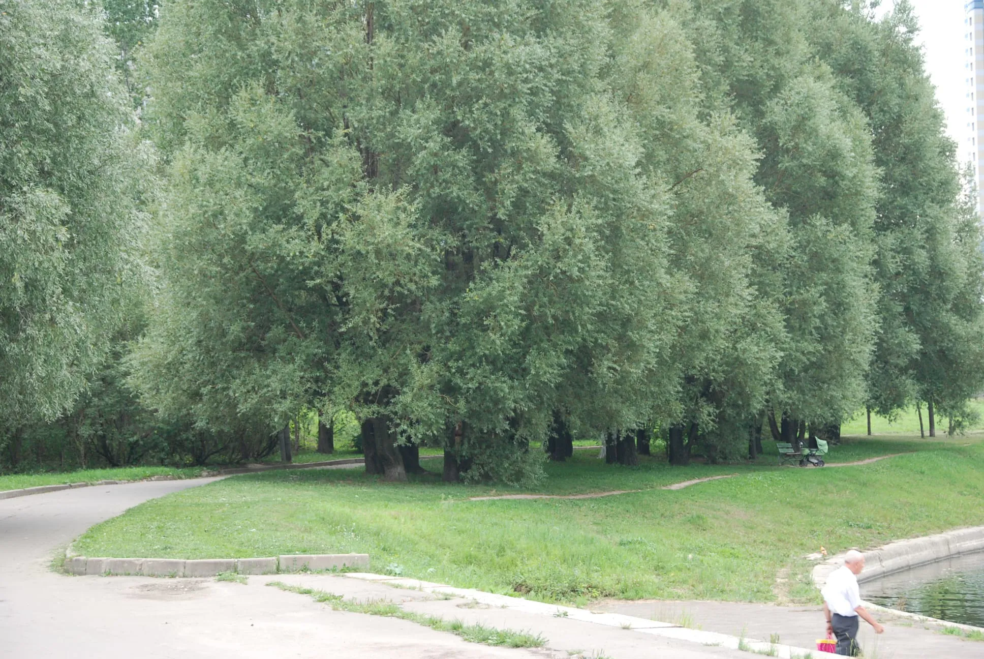 Парк у воды с видом, фото 2