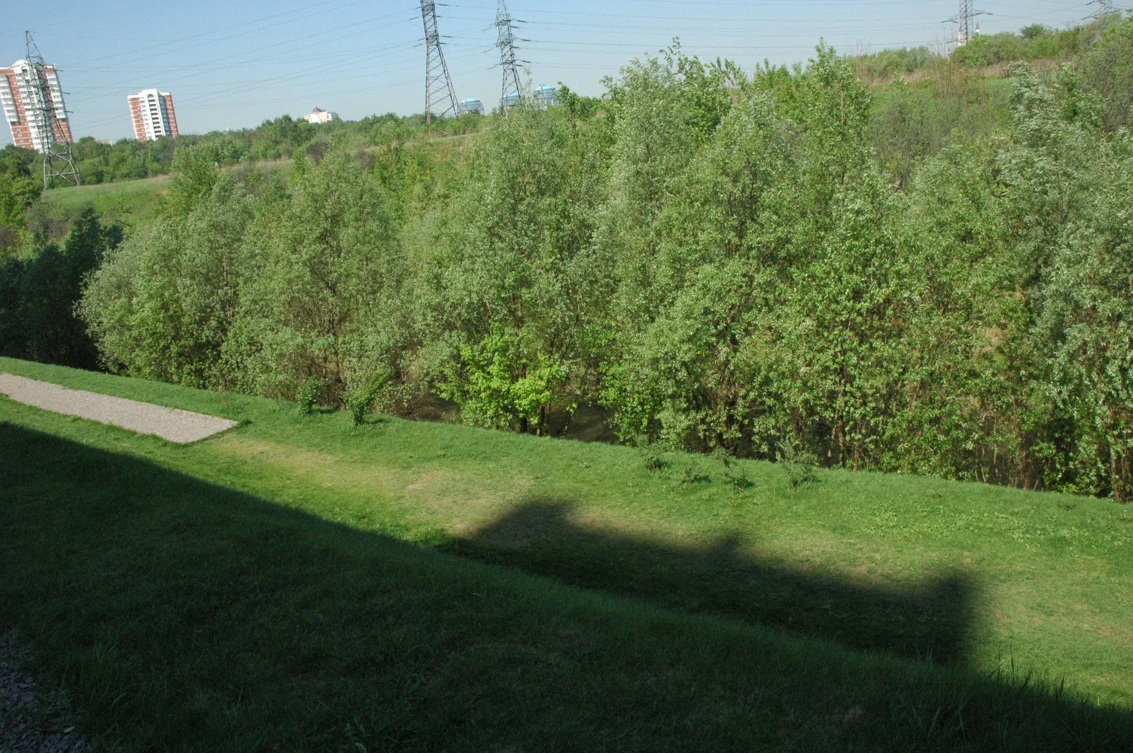 Парк у воды с видом, фото 4