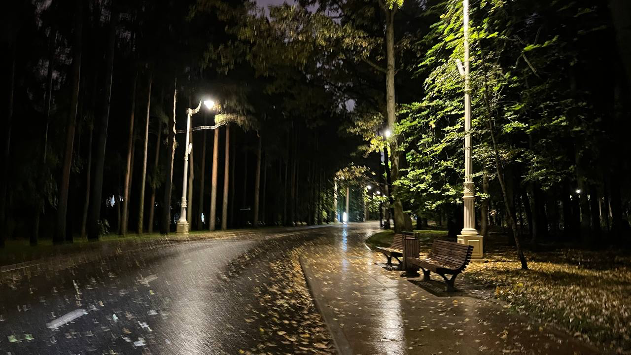 Ночной парк с неоном, фото 24