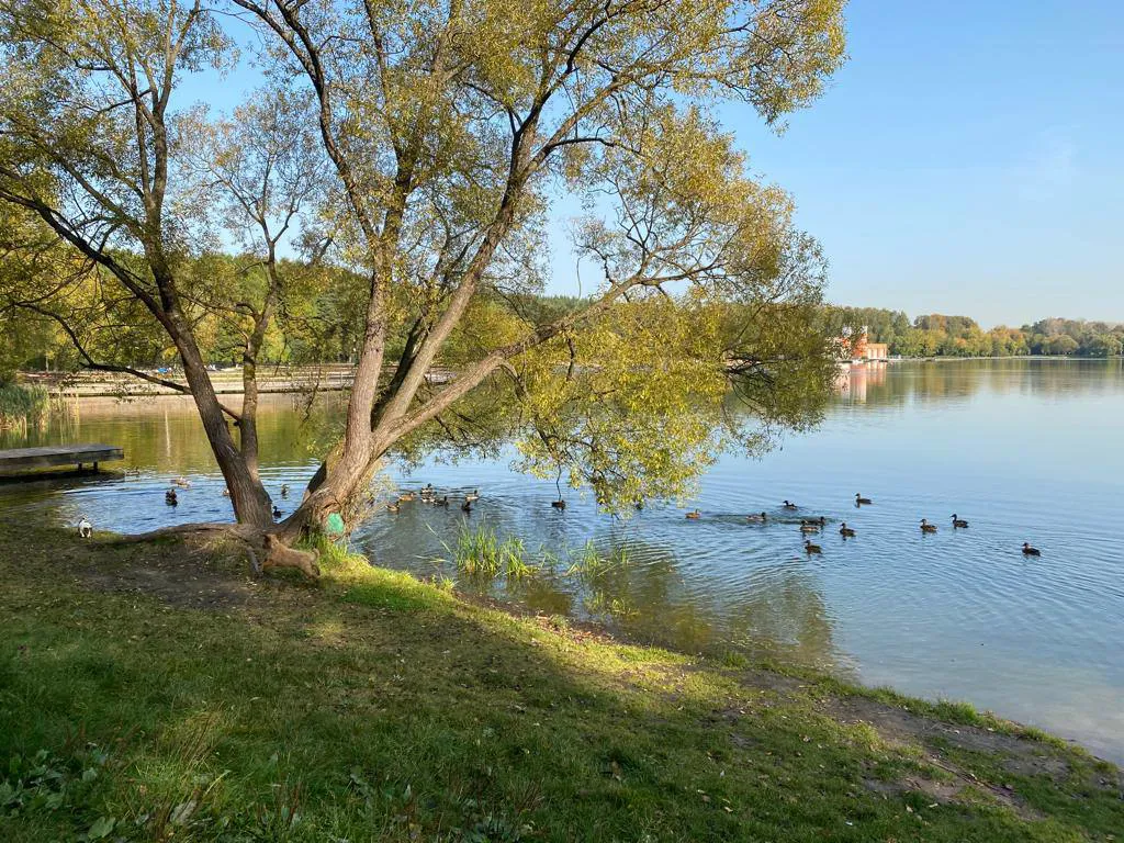 Парк у озера с фонарями, фото 7