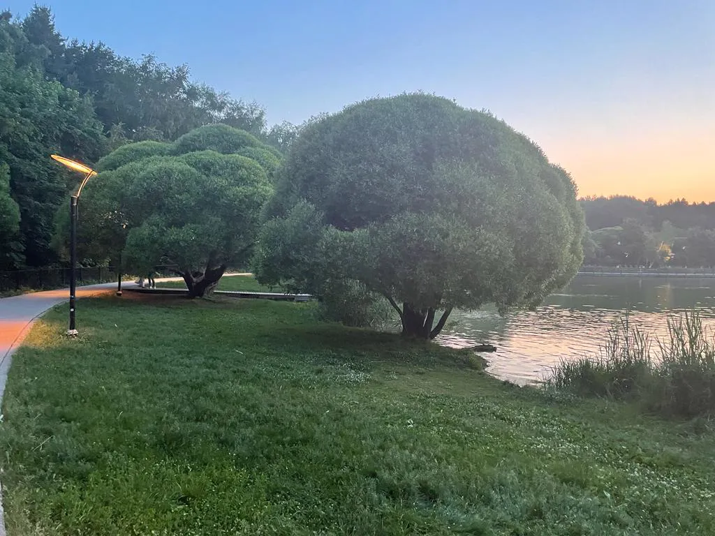 Парк у озера с фонарями, фото 1