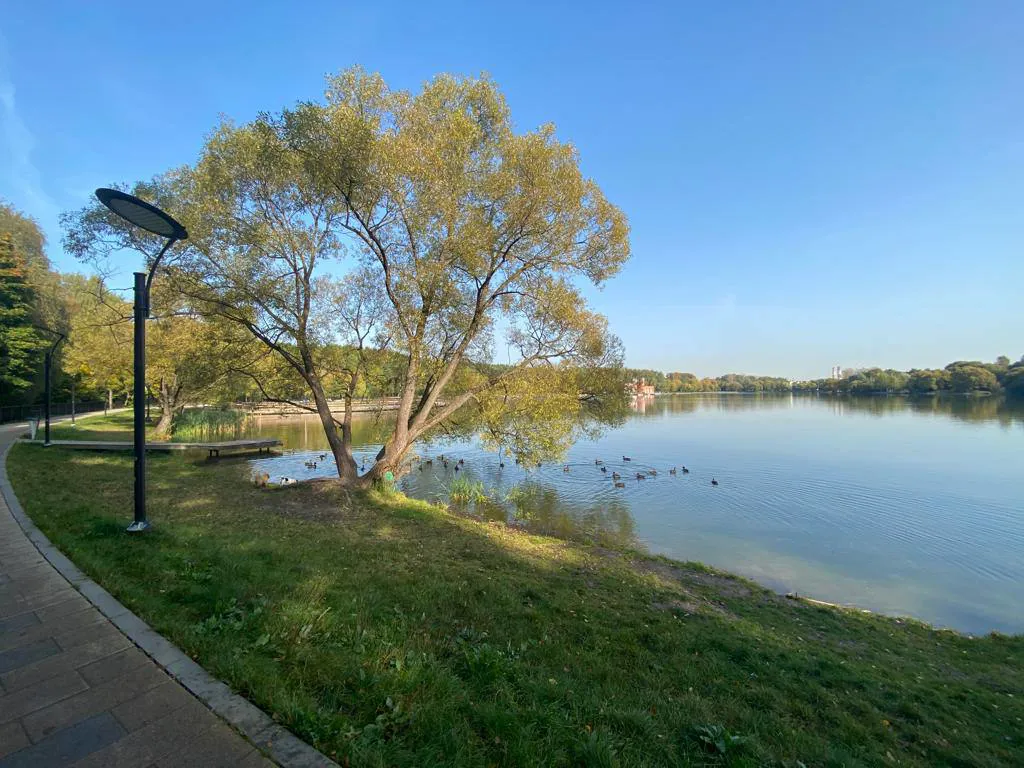 Парк у озера с фонарями, фото 8