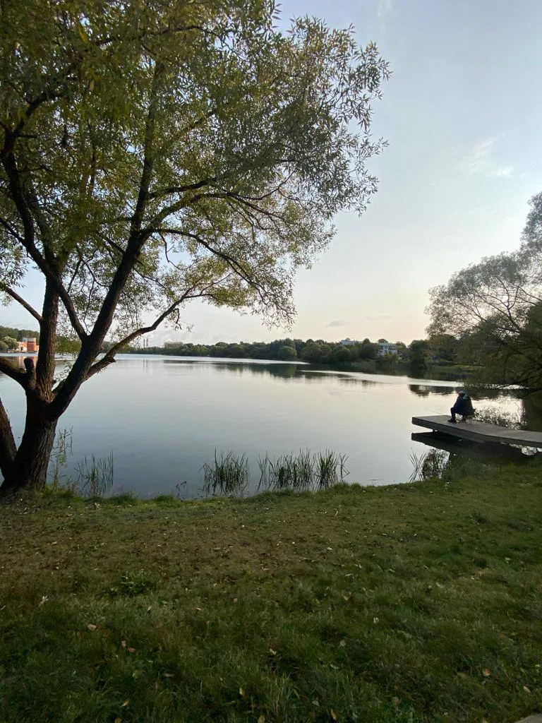 Парк у озера с фонарями, фото 6