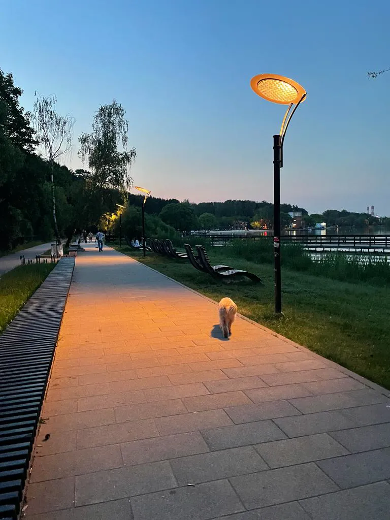 Парк у озера с фонарями, фото 2