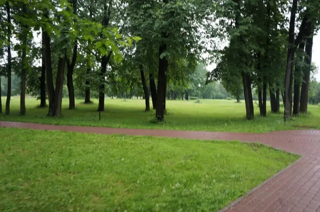 Парк с прудом и лестницей, фото 18