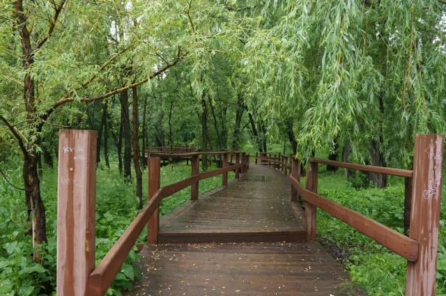 Парк с прудом и лестницей, фото 9