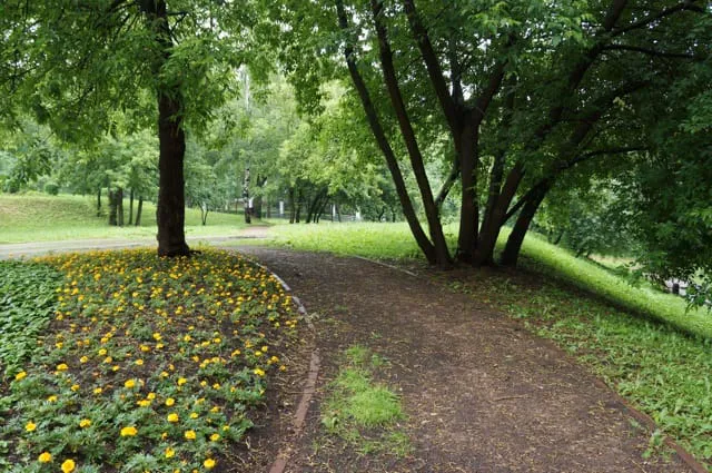 Парк с прудом и лестницей, фото 12
