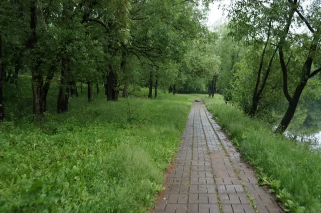 Парк с прудом и лестницей, фото 10