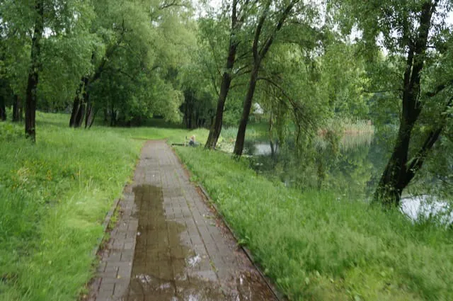 Парк с прудом и лестницей, фото 11