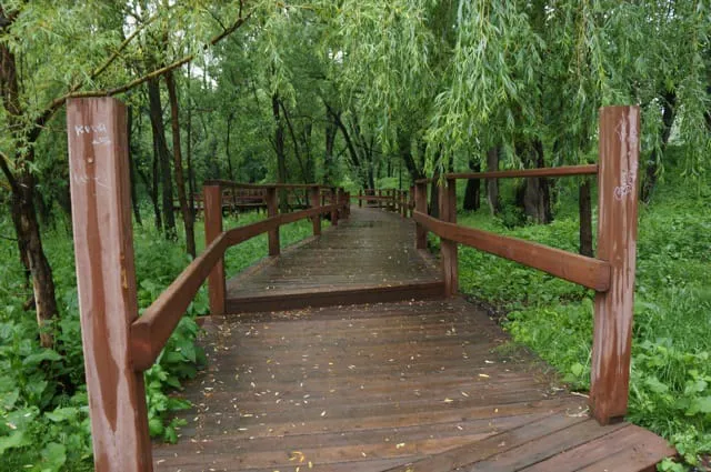 Парк с прудом и лестницей, фото 8
