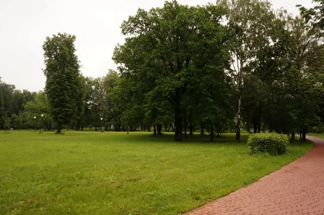 Парк с прудом и лестницей, фото 24