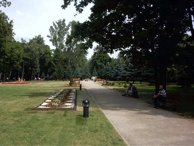 Парк старинных дубов, фото 19