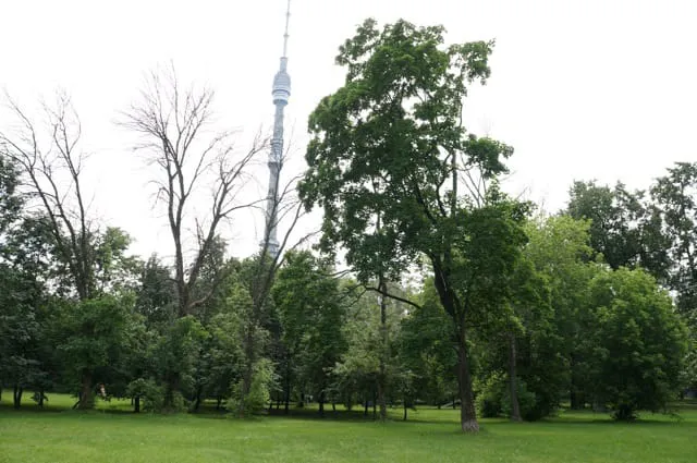 Парк старинных дубов, фото 15