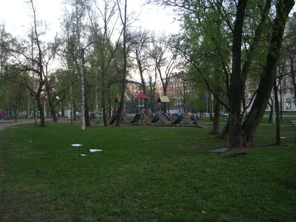 Березовая роща, фото 18