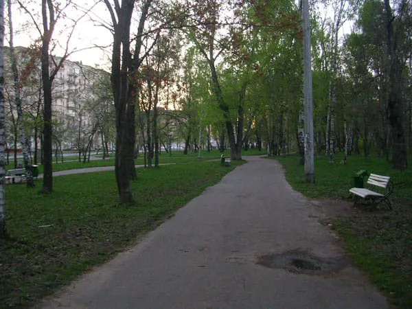 Березовая роща, фото 17