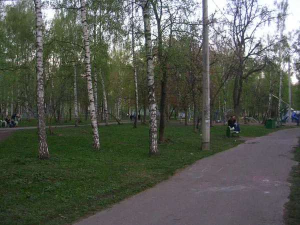Березовая роща, фото 20