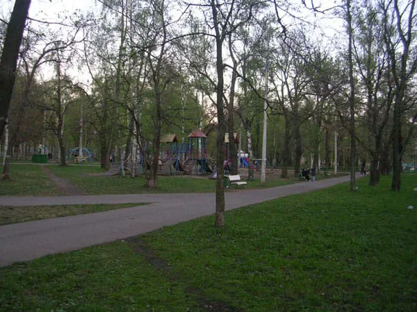 Березовая роща, фото 23