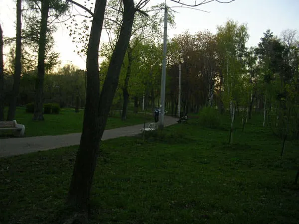 Березовая роща, фото 8