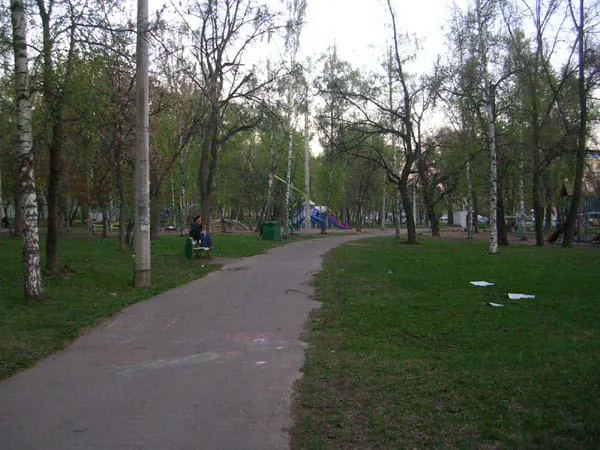 Березовая роща, фото 19
