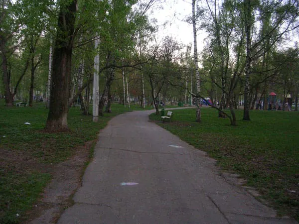 Березовая роща, фото 16
