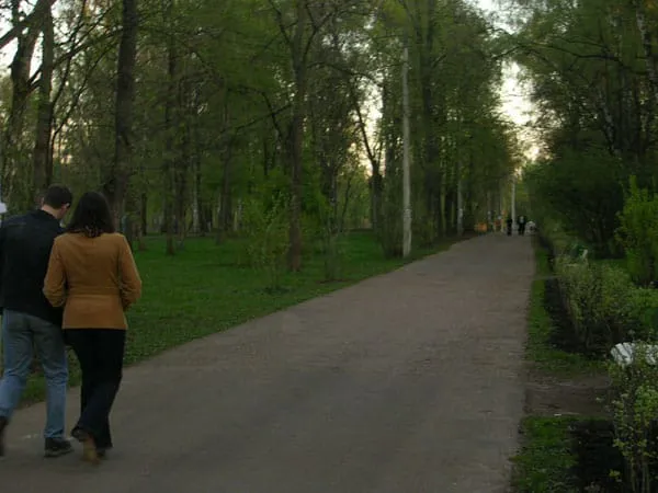 Березовая роща, фото 5