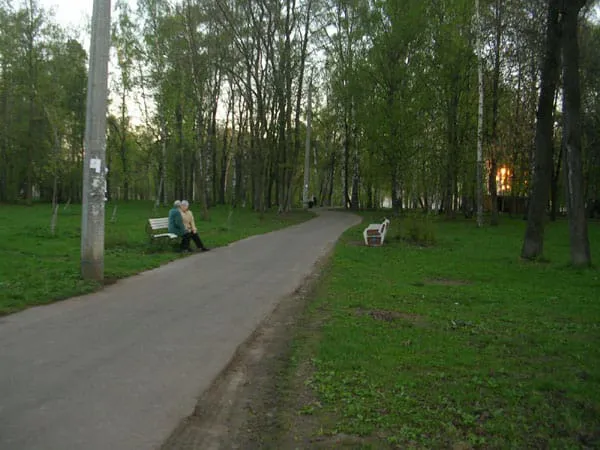 Березовая роща, фото 10