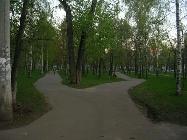 Березовая роща, фото 14
