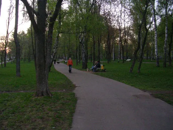 Березовая роща, фото 24