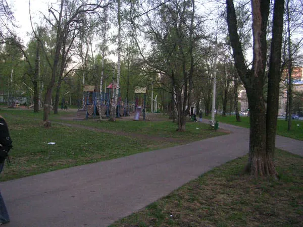 Березовая роща, фото 22