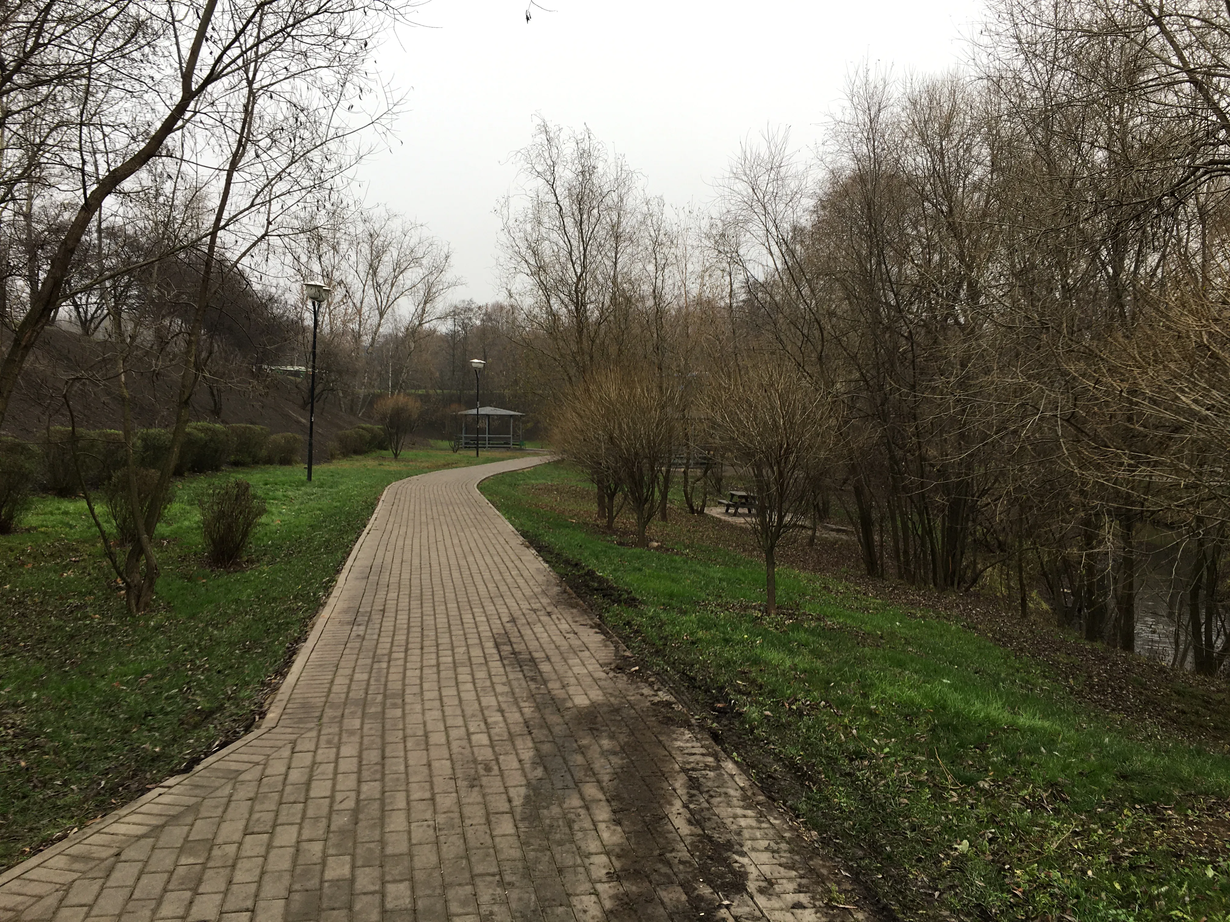 Извилистые тропы и пруд, фото 3