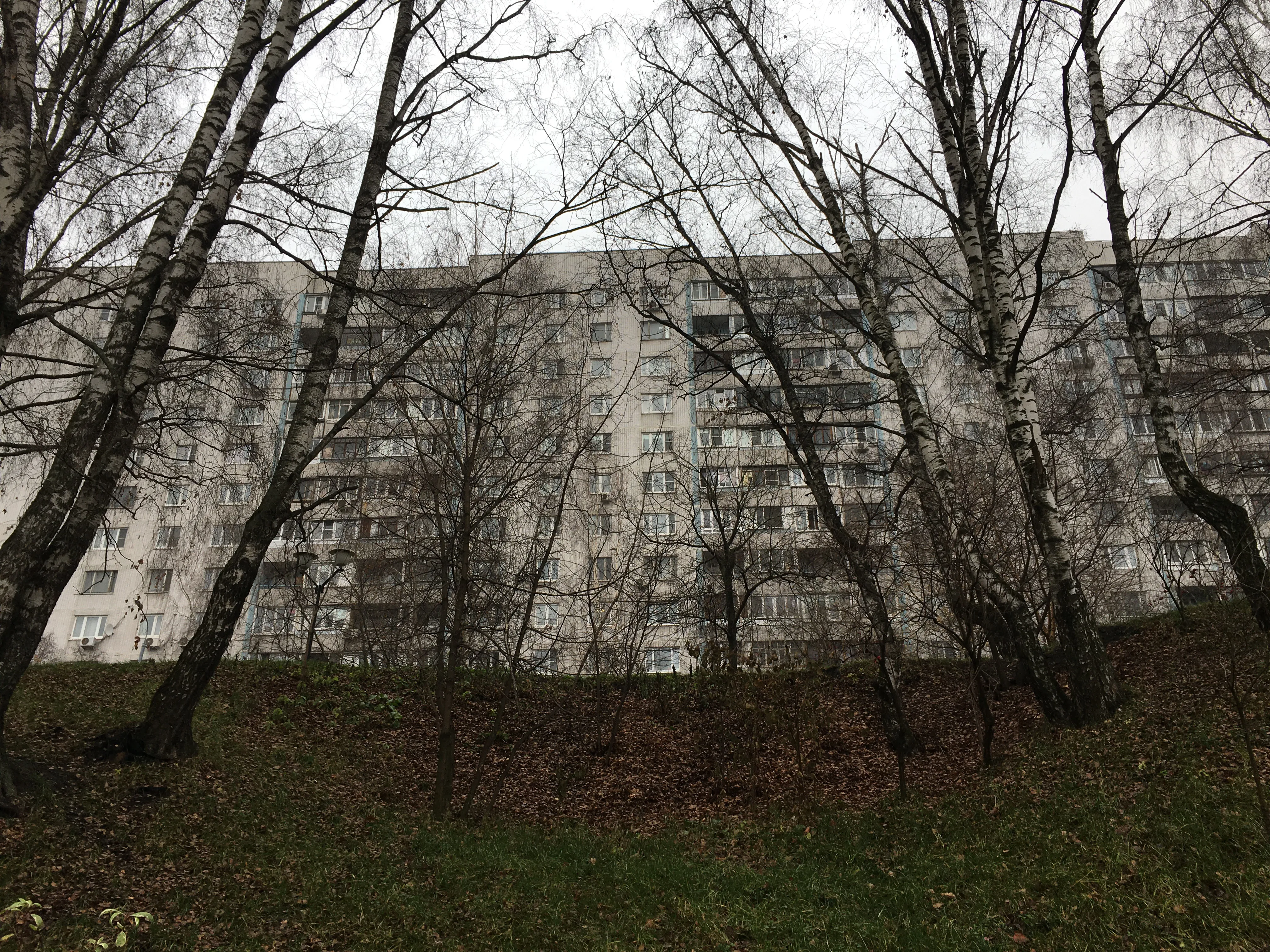 Извилистые тропы и пруд, фото 19