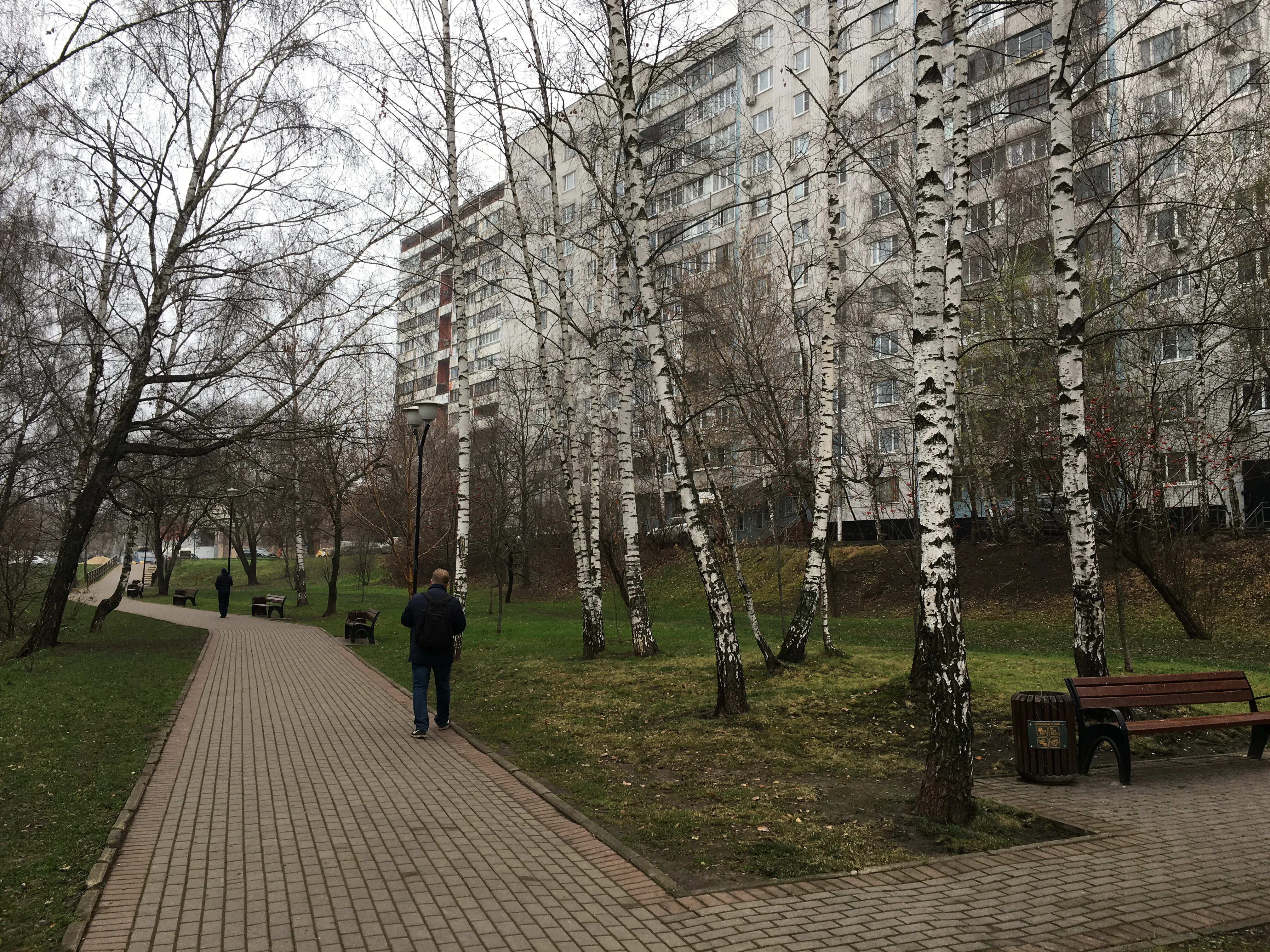 Извилистые тропы и пруд, фото 21