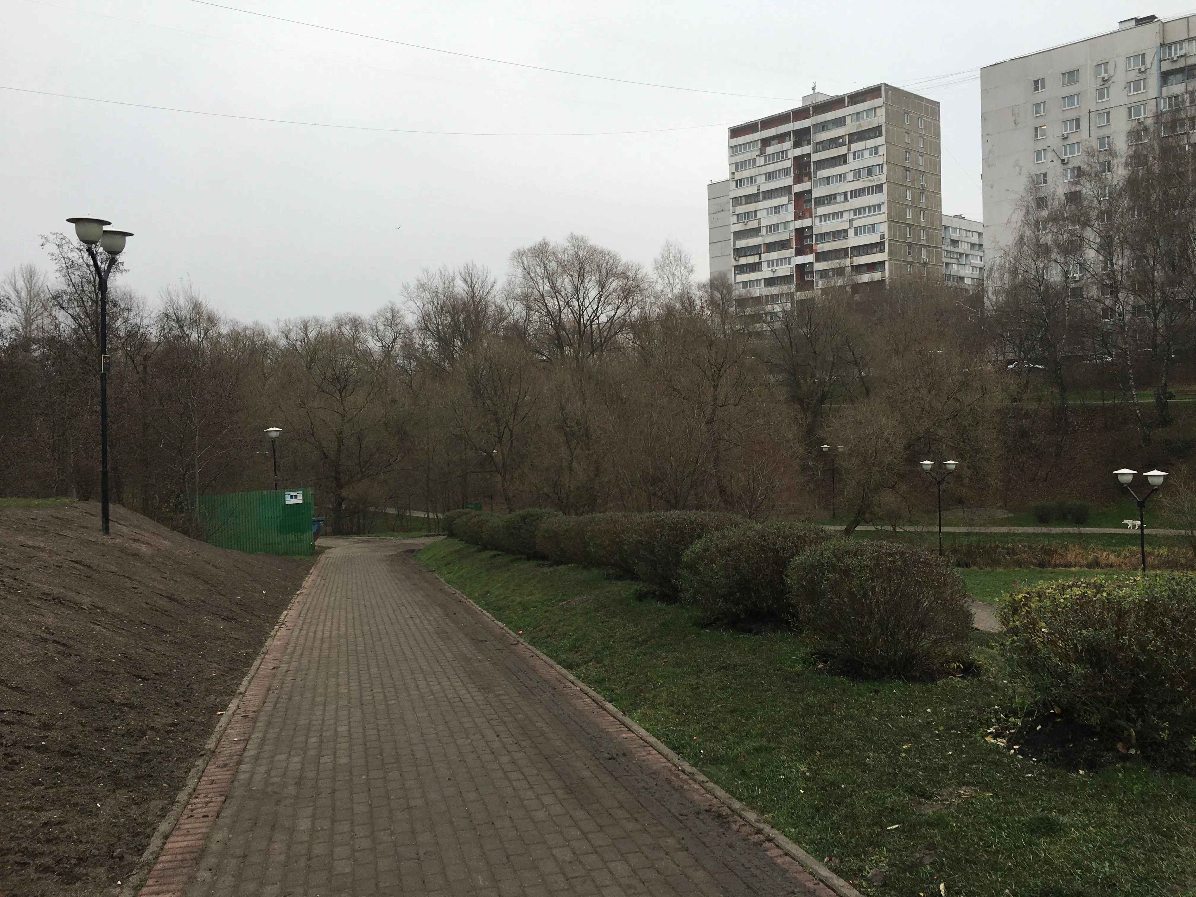 Извилистые тропы и пруд, фото 1
