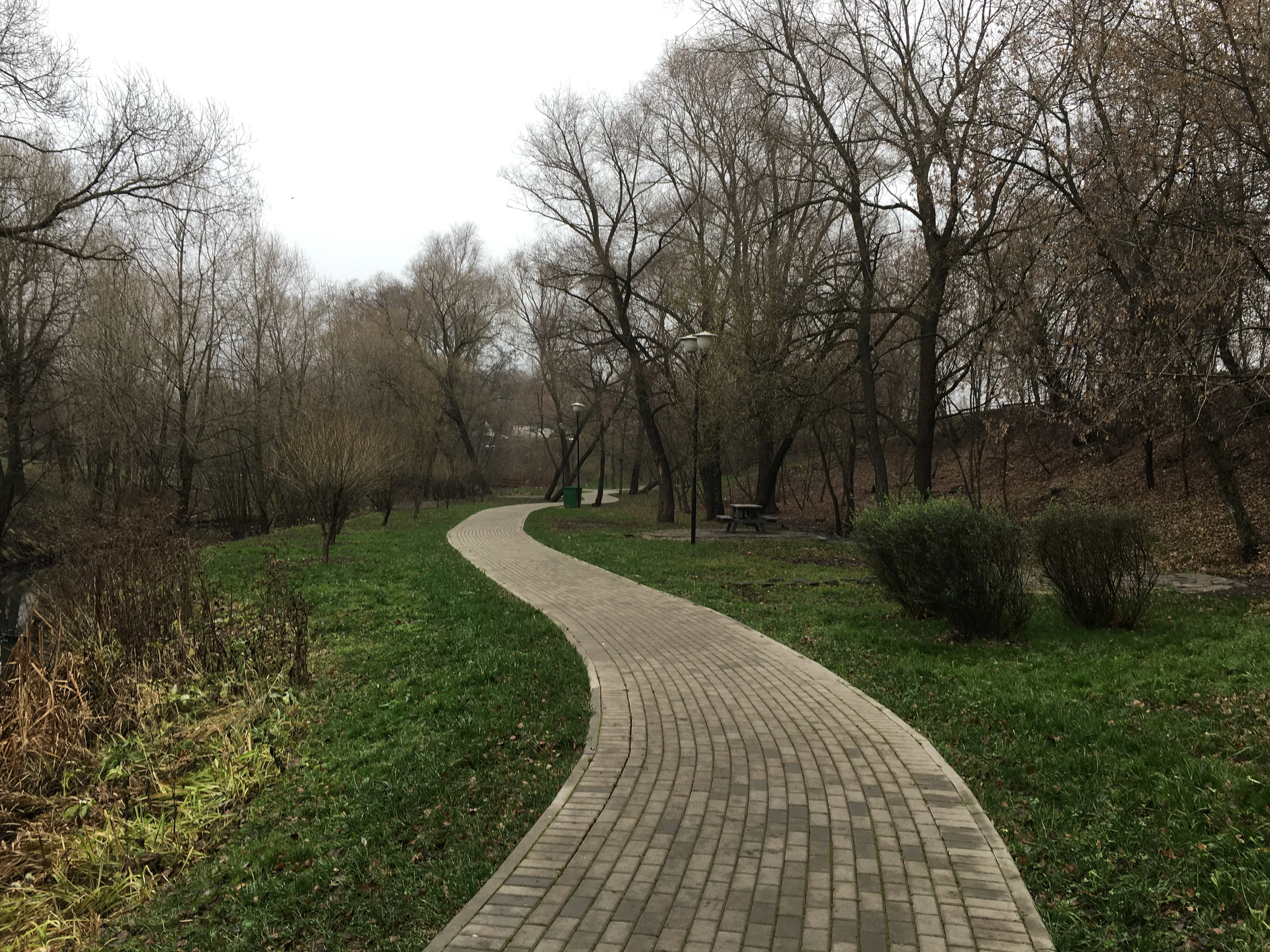 Извилистые тропы и пруд, фото 18