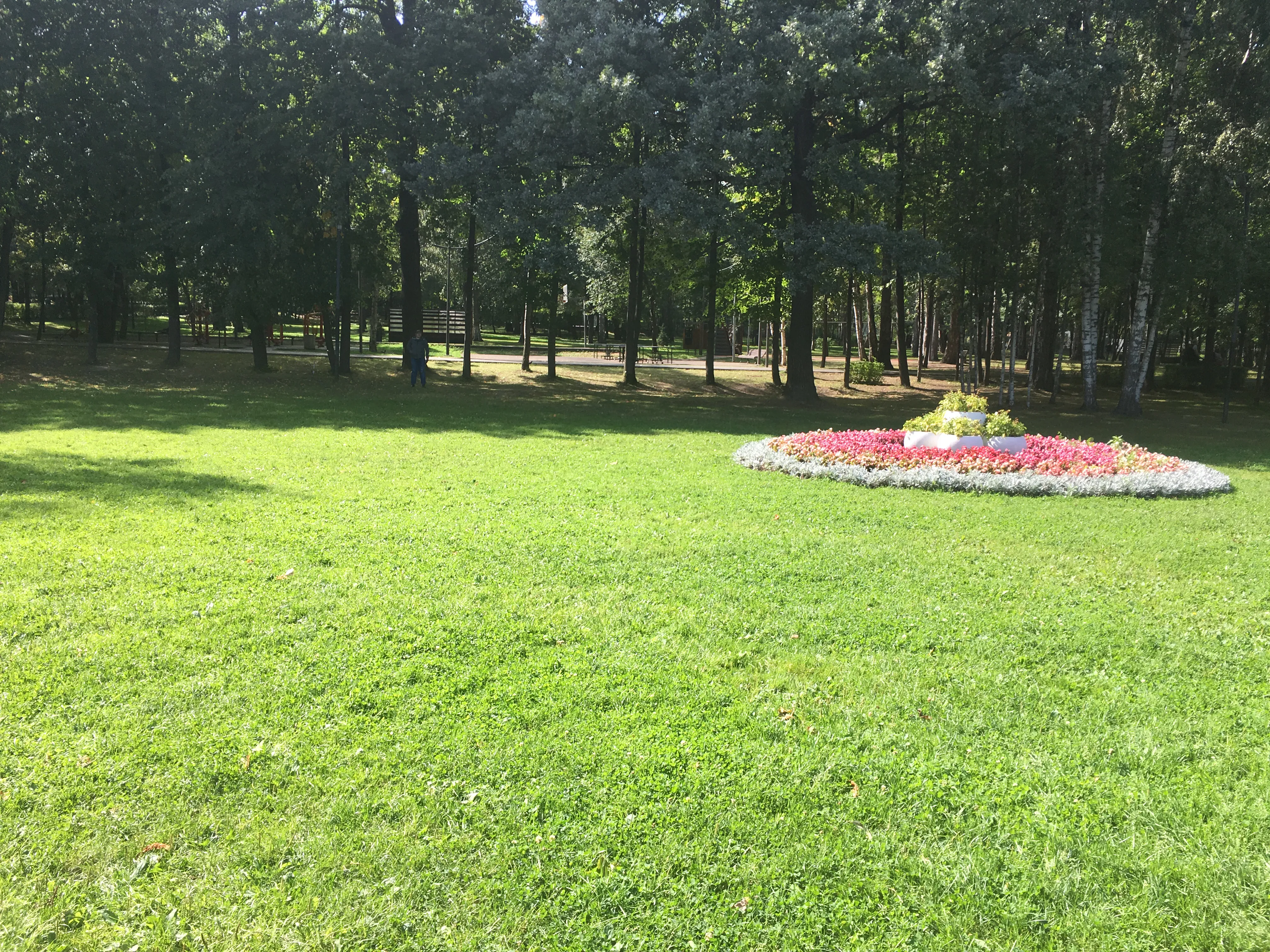 Парк с детскими площадками, фото 5