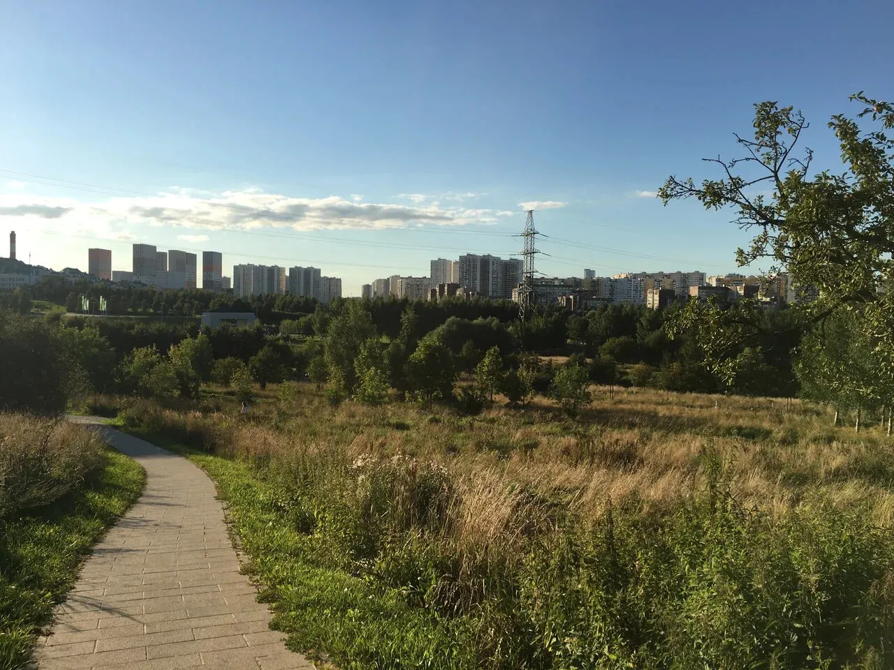 Парк с холмами и озером, фото 6
