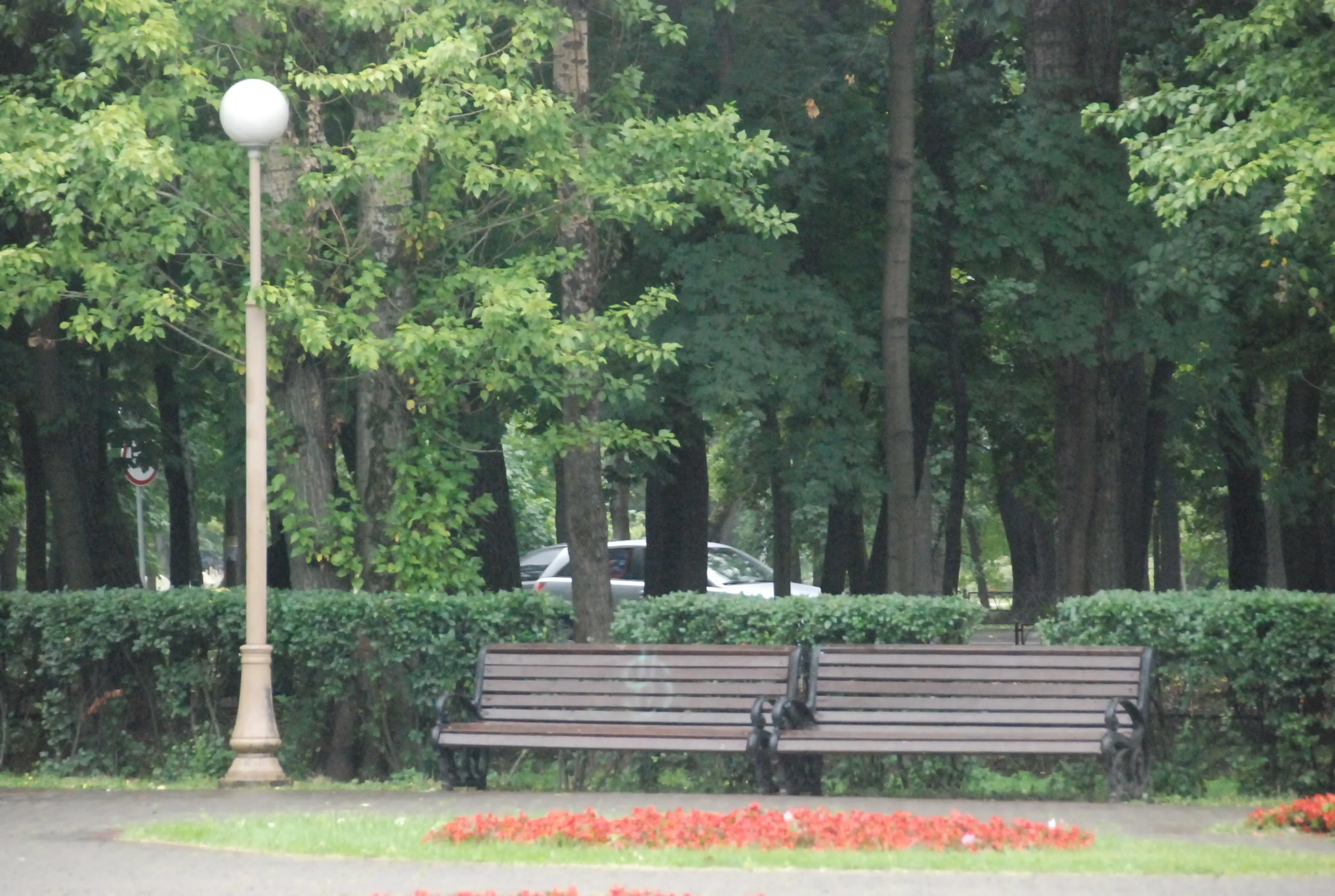 Парк, березы и лавка-колода, фото 11