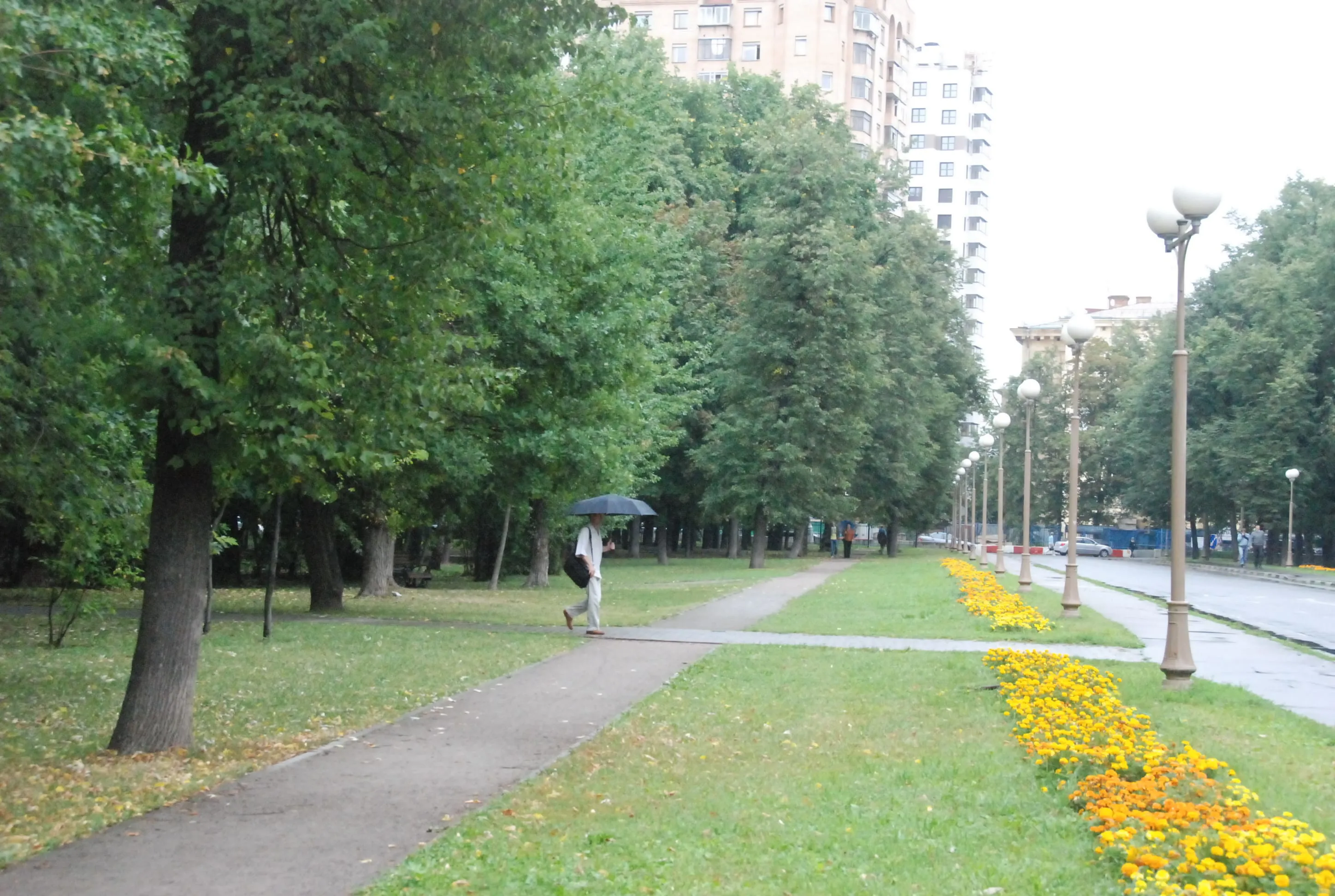 Парк, березы и лавка-колода, фото 7