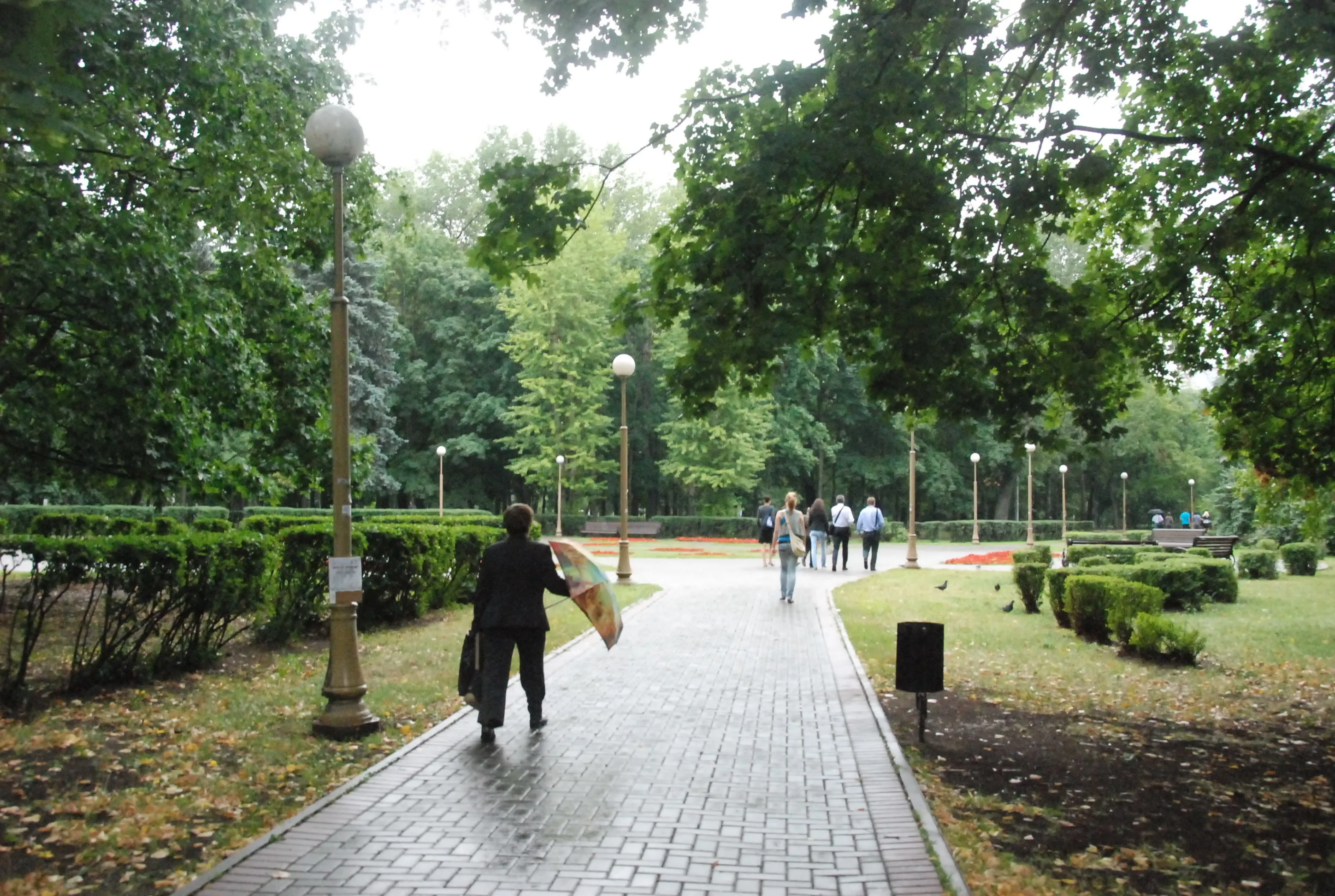 Парк, березы и лавка-колода, фото 9